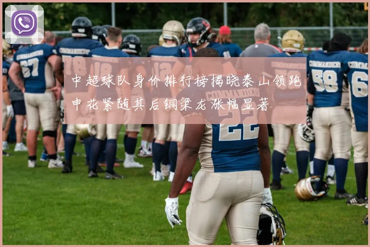 中超球队身价排行榜揭晓泰山领跑申花紧随其后铜梁龙涨幅显著
