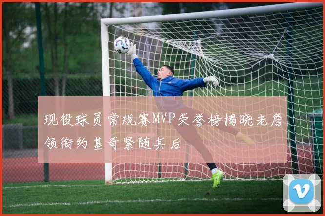 现役球员常规赛MVP荣誉榜揭晓老詹领衔约基奇紧随其后